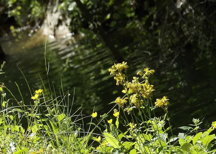 Apartamento Rodamos Taxiarkhis (Aristotelis)